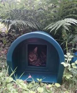 Mr Snugs Katden Outdoor Cat Kennel - Dark Green 22 Mr Snugs Katden Outdoor Cat Kennel - Dark Green -Pet Cat Supplies Store 1231022046green katden 1