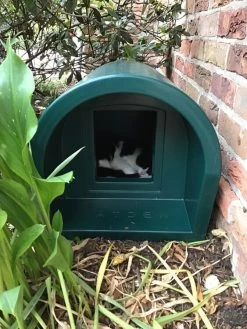 Mr Snugs KatDen Outdoor Cat Kennel/Shelter - Dark Green (Various Options) -Pet Cat Supplies Store 29CCBEE4 E6E5 4D6C 9B5D 9D74E7A68C63 2