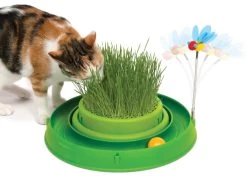 Catit Play Circuit Ball Toy With Grass Green -Pet Cat Supplies Store 43002 circuit ball toy cat grass heroshot
