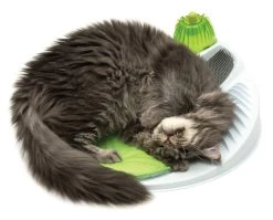 Catit Senses 2.0 Wellness Centre -Pet Cat Supplies Store 43153 catit senses wellness center with cat 01