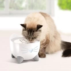 Catit Pixi Cat Water Fountain Stainless Steel 14 Catit Pixi Cat Water Fountain Stainless Steel -Pet Cat Supplies Store 43720 catit pixi fountain stainless steel lifestyle