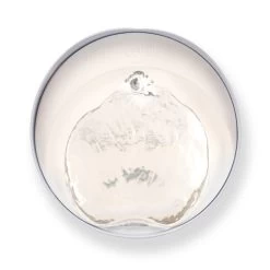 Catit Pixi Cat Water Fountain Stainless Steel 19 Catit Pixi Cat Water Fountain Stainless Steel -Pet Cat Supplies Store 43720 catit pixi fountain stainless steel top shot bubbling 1