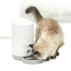 Catit Pixi Smart Feeder -Pet Cat Supplies Store 43752 catit pixi smart feeder lifestyle