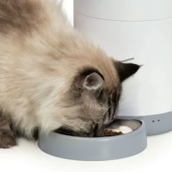Catit Pixi Smart Feeder -Pet Cat Supplies Store 43752 catit pixi smart feeder wisker stress free bowl 1