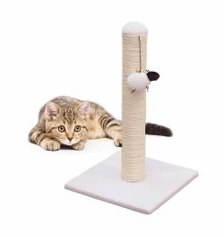 Petface Sheep Cat Scratcher -Pet Cat Supplies Store 5a11f58dbd2a49.35010968