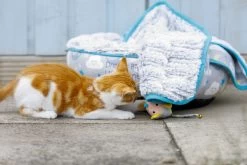 Petface Little Petface Cat Donut -Pet Cat Supplies Store 60c080db2ad313.14779880