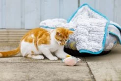 Petface Little Petface Cat Donut -Pet Cat Supplies Store 60c080e2e5f896.84162551