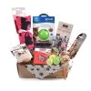 Cat Toy Subscription Box -Pet Cat Supplies Store Cat toy