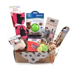 Cat Toy Subscription Box