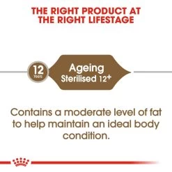 ROYAL CANIN® Ageing Sterilised 12+ Senior Dry Cat Food -Pet Cat Supplies Store aemcccngrxvzg4j7zyup