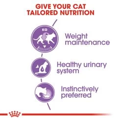 ROYAL CANIN® Sterilised In Gravy Adult Wet Cat Food 17 ROYAL CANIN® Sterilised In Gravy Adult Wet Cat Food -Pet Cat Supplies Store bdreuil2f4ua1u0jcgbu
