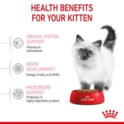 ROYAL CANIN® Kitten Dry Food -Pet Cat Supplies Store bscxrkjpj9rpxloqerpo