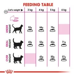 ROYAL CANIN® Protein Exigent Adult Dry Cat Food -Pet Cat Supplies Store c6qitl6e1pwu8xqkqwwu