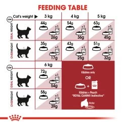 ROYAL CANIN® Regular Fit 32 Adult Dry Cat Food -Pet Cat Supplies Store dla3nxdqxp8rzbk30jkn