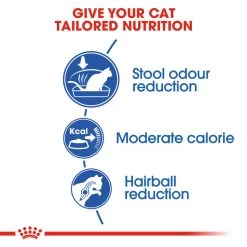 ROYAL CANIN® Indoor 27 Adult Dry Cat Food -Pet Cat Supplies Store fmbftx2c8bbmonxpli9v