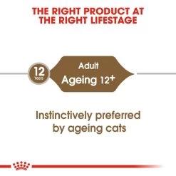 ROYAL CANIN® Ageing 12+ In Jelly Senior Wet Cat Food -Pet Cat Supplies Store fnx2xvwjla0sgrdjx7lq