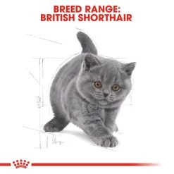 ROYAL CANIN® British Shorthair Kitten Dry Food -Pet Cat Supplies Store glnoopvzzeh0ooalitt4