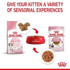 ROYAL CANIN® Kitten In Gravy Wet Food -Pet Cat Supplies Store hsrqi7n1a31jnwcer9x7