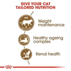 ROYAL CANIN® Ageing Sterilised 12+ Senior Dry Cat Food -Pet Cat Supplies Store i44jnign12vy4fddz6mw