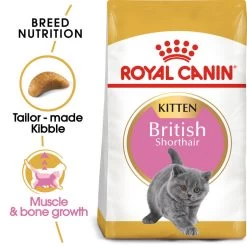 ROYAL CANIN® British Shorthair Kitten Dry Food -Pet Cat Supplies Store iv1msflv1meqytybkjht