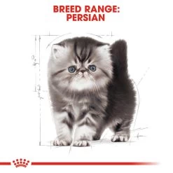 ROYAL CANIN® Persian Kitten Dry Food -Pet Cat Supplies Store iyjqdi0o6fja1tk7ywom