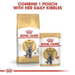 ROYAL CANIN® British Shorthair Adult Dry Cat Food 14 ROYAL CANIN® British Shorthair Adult Dry Cat Food -Pet Cat Supplies Store jmplw8kbzxq5fpukpe1w