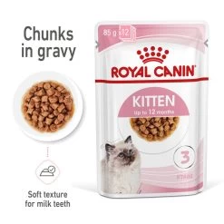 ROYAL CANIN® Kitten In Gravy Wet Food -Pet Cat Supplies Store k3faymrygrk0v0tvyftb