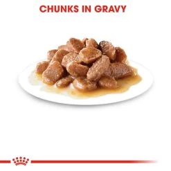 ROYAL CANIN® Sterilised In Gravy Adult Wet Cat Food 16 ROYAL CANIN® Sterilised In Gravy Adult Wet Cat Food -Pet Cat Supplies Store l2wafjrlnt7aufieij00 1