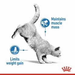 ROYAL CANIN® Light Weight Care In Gravy Adult Wet Cat Food -Pet Cat Supplies Store lope0judqaencngvu9op