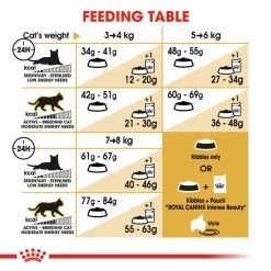 ROYAL CANIN® Bengal Adult Dry Cat Food -Pet Cat Supplies Store lrifss9ytvk35d4gmnmk