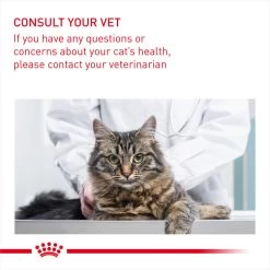 ROYAL CANIN® Hairball Care In Gravy Adult Wet Cat Food -Pet Cat Supplies Store mkawaklaiteu3qlaeddq 1