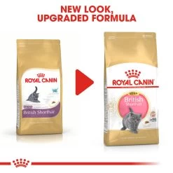 ROYAL CANIN® British Shorthair Kitten Dry Food -Pet Cat Supplies Store nildqxbrqmyzdhpz8gvf