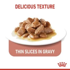 ROYAL CANIN® Light Weight Care In Gravy Adult Wet Cat Food -Pet Cat Supplies Store nmcsxe8uqoheheskmbdt