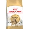 ROYAL CANIN® Bengal Adult Dry Cat Food -Pet Cat Supplies Store nmw8zqf63944vcbtelop