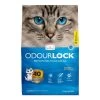 Intersand Odourlock Ultra Premium Clumping Cat Litter