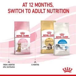 ROYAL CANIN® Kitten Sterilised Dry Food -Pet Cat Supplies Store qddivhypfdhwy5dc8qcj