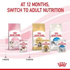 ROYAL CANIN® Kitten In Gravy Wet Food -Pet Cat Supplies Store rc9zfbw0xdoawwfipey8