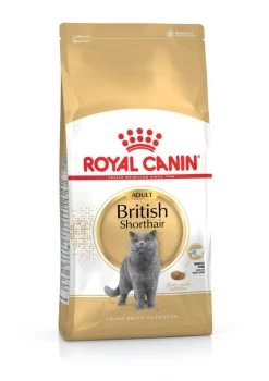 ROYAL CANIN® British Shorthair Adult Dry Cat Food