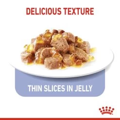 ROYAL CANIN® Appetite Control Care In Jelly Adult Wet Cat Food -Pet Cat Supplies Store rtbisewxahajeiwgubhz