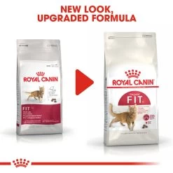 ROYAL CANIN® Regular Fit 32 Adult Dry Cat Food -Pet Cat Supplies Store ugmpkx5n0b5fwrjaz8xr