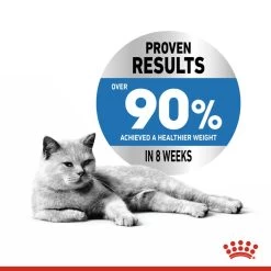 ROYAL CANIN® Light Weight Care In Gravy Adult Wet Cat Food -Pet Cat Supplies Store wyrezgqwzq7h77tnkojr