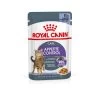 ROYAL CANIN® Appetite Control Care In Jelly Adult Wet Cat Food -Pet Cat Supplies Store yos2lb67yfegyihholmf