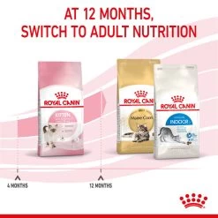 ROYAL CANIN® Kitten Dry Food -Pet Cat Supplies Store ywxjftes4zehzjvaxevi